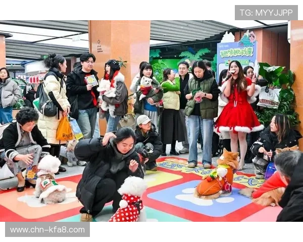 真人老虎机现场互动玩法介绍，提升游戏趣味性和参与感，享受沉浸式娱乐体验