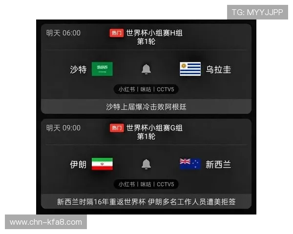 伊朗与比利时世界杯比赛数据比分全景回顾与关键战术解析